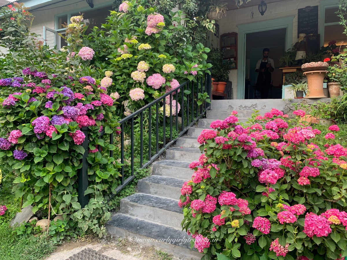 Top 10 Best Cafes in Manali for Food, Views, and&nbsp;Vibes