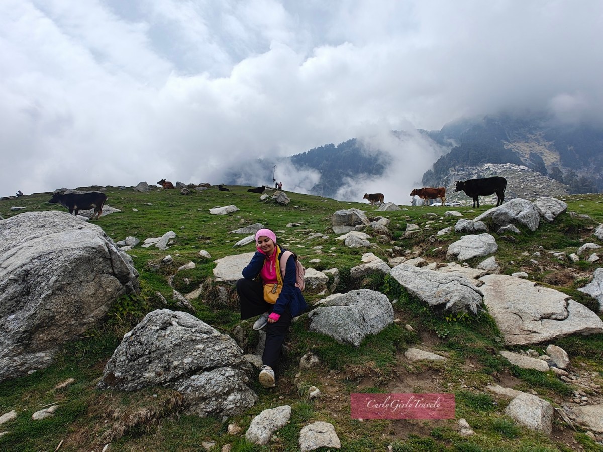 Triund Trek – In The Heart of&nbsp;Dhauladhar