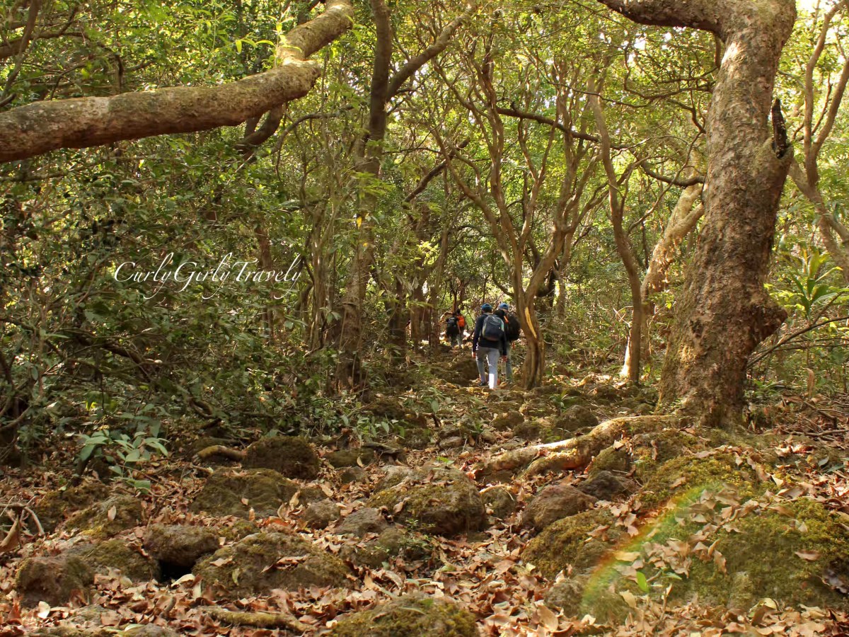 Hidden Trail Near Koyna&nbsp;River