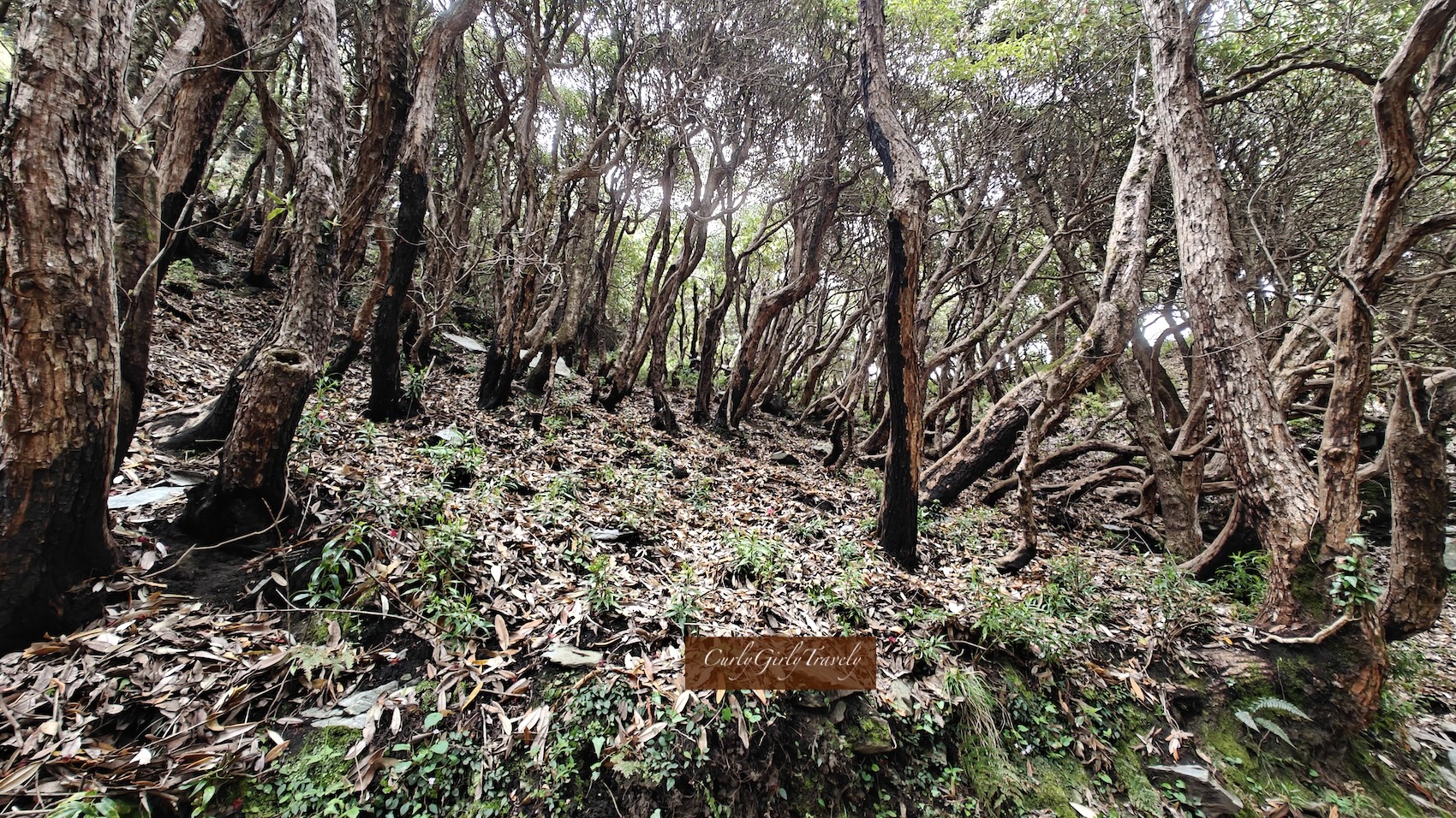 img20240427092701