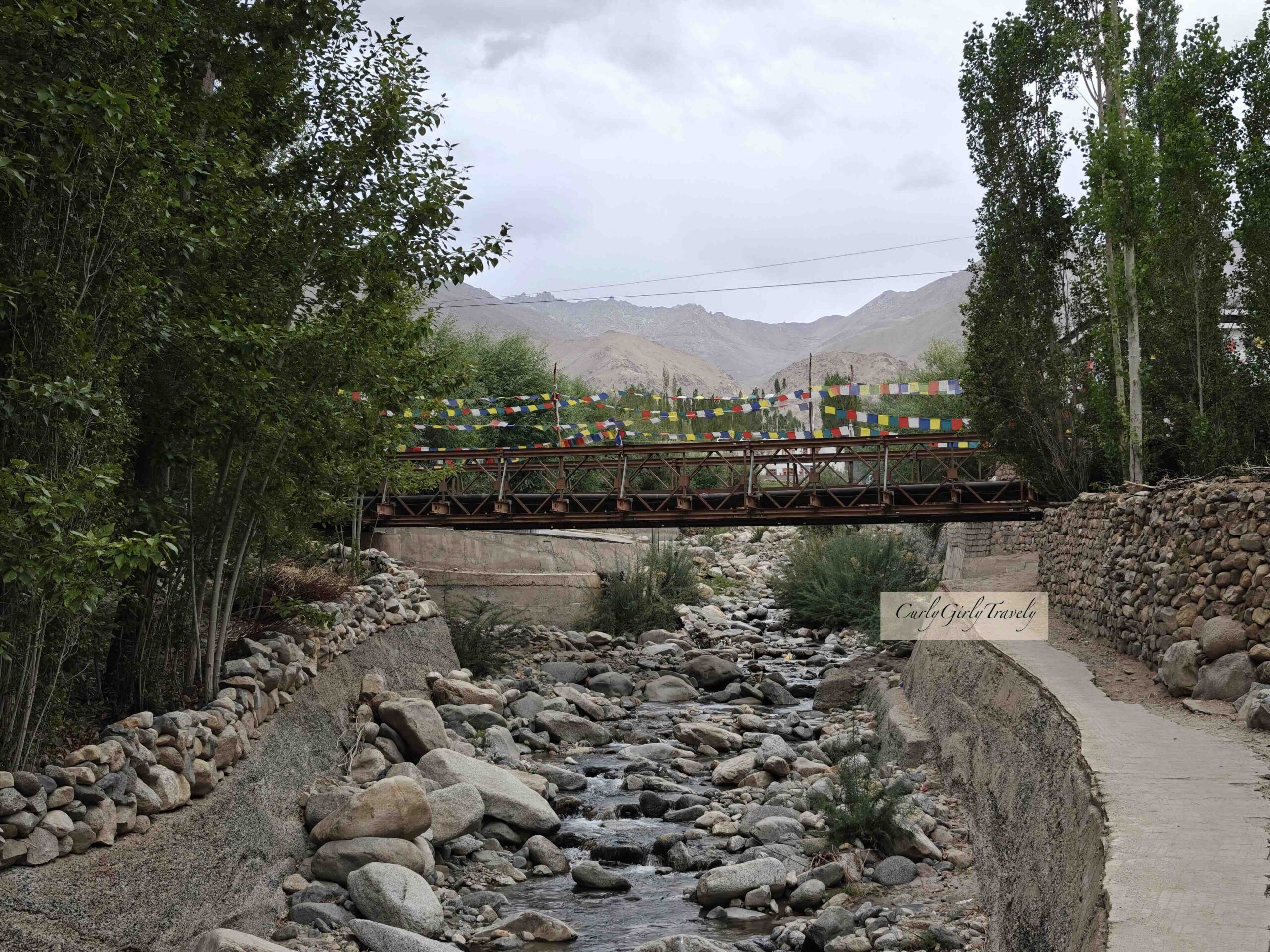img20240729184702