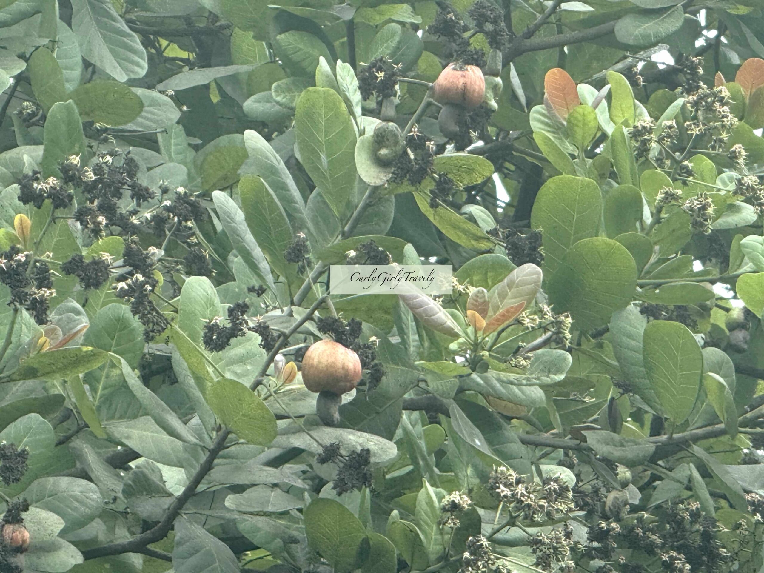 img 0806