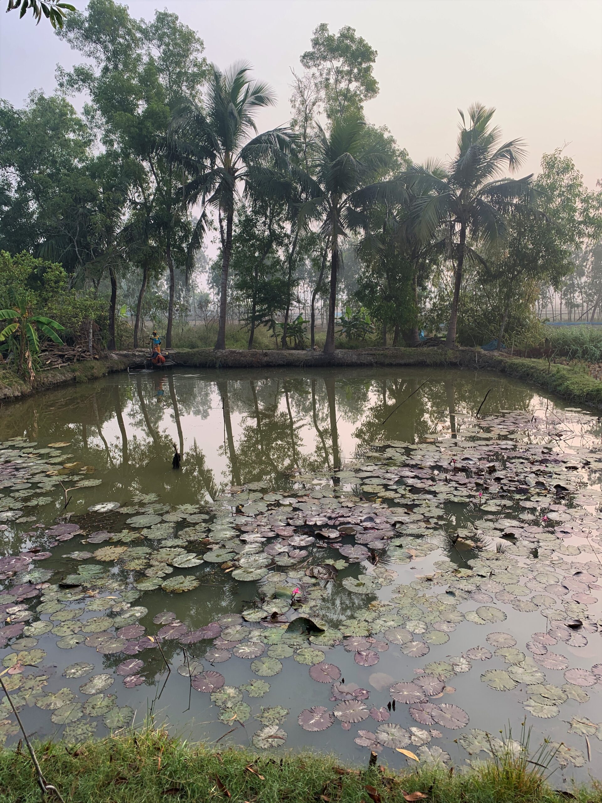 img 0893