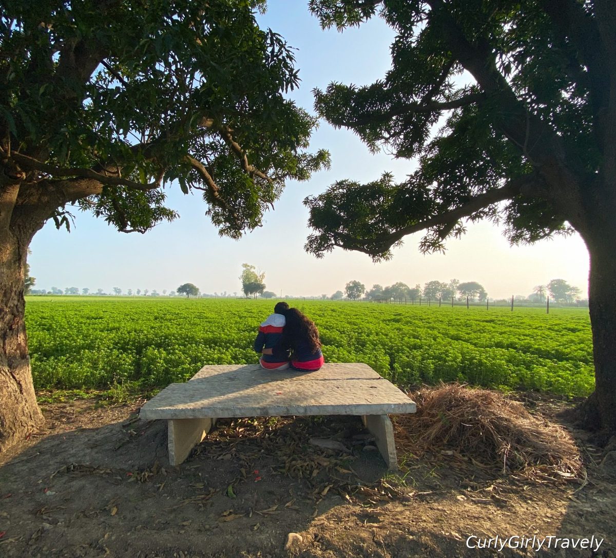 A Winter Day at Our Farm in India | Fresh Sugarcane, Peas & Village&nbsp;Life